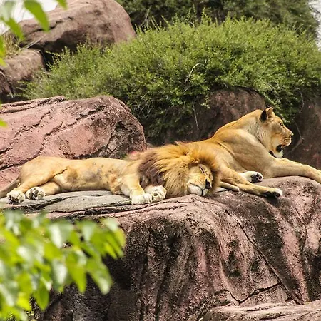 Ogdomaine De La Groirie * Trangé