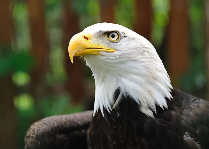 Ogdomaine De La Groirie 酒店