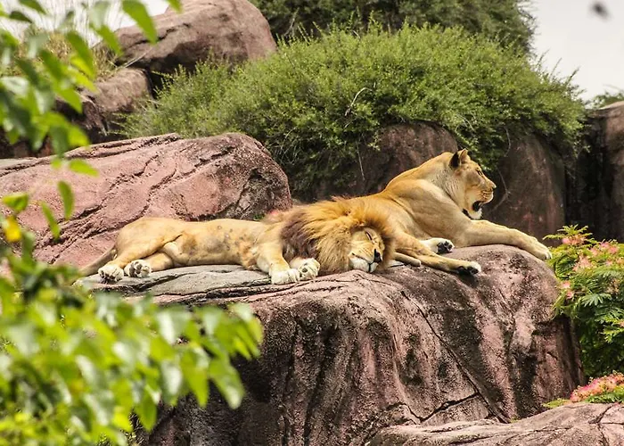 Ogdomaine De La Groirie * Trangé